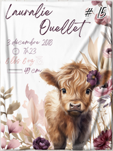 Charger l'image dans la galerie, Doudou de naissance souvenir