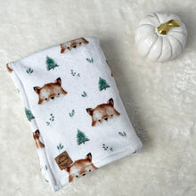 Charger l'image dans la galerie, Doudou douceur - Renard des bois