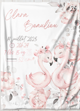 Charger l'image dans la galerie, Doudou de naissance souvenir