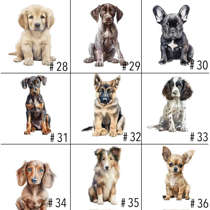 Doudou attache-suce personnalisée - Chiots