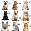 Doudou attache-suce personnalisée - Chats