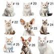 Doudou attache-suce personnalisée - Chats