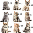 Doudou attache-suce personnalisée - Chats