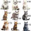 Doudou attache-suce personnalisée - Chats