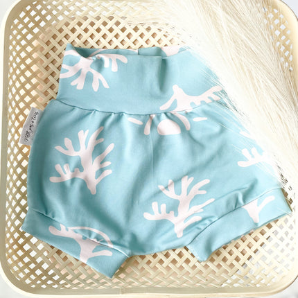 Short évolutive - Bélize