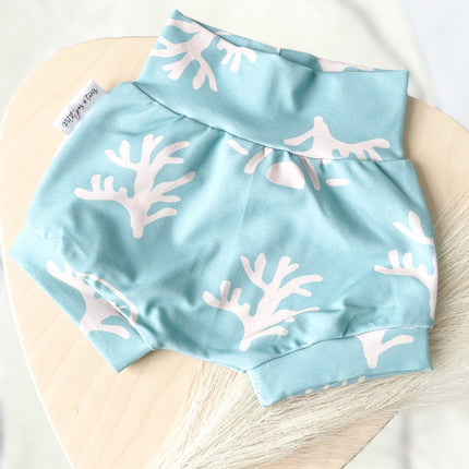 Short évolutive - Bélize